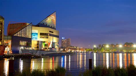 baltimore aquarium hotels nearby